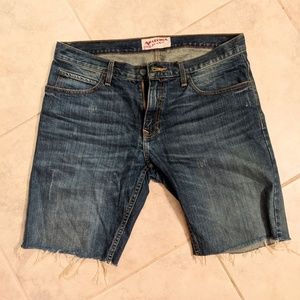 Arizona men's shorts